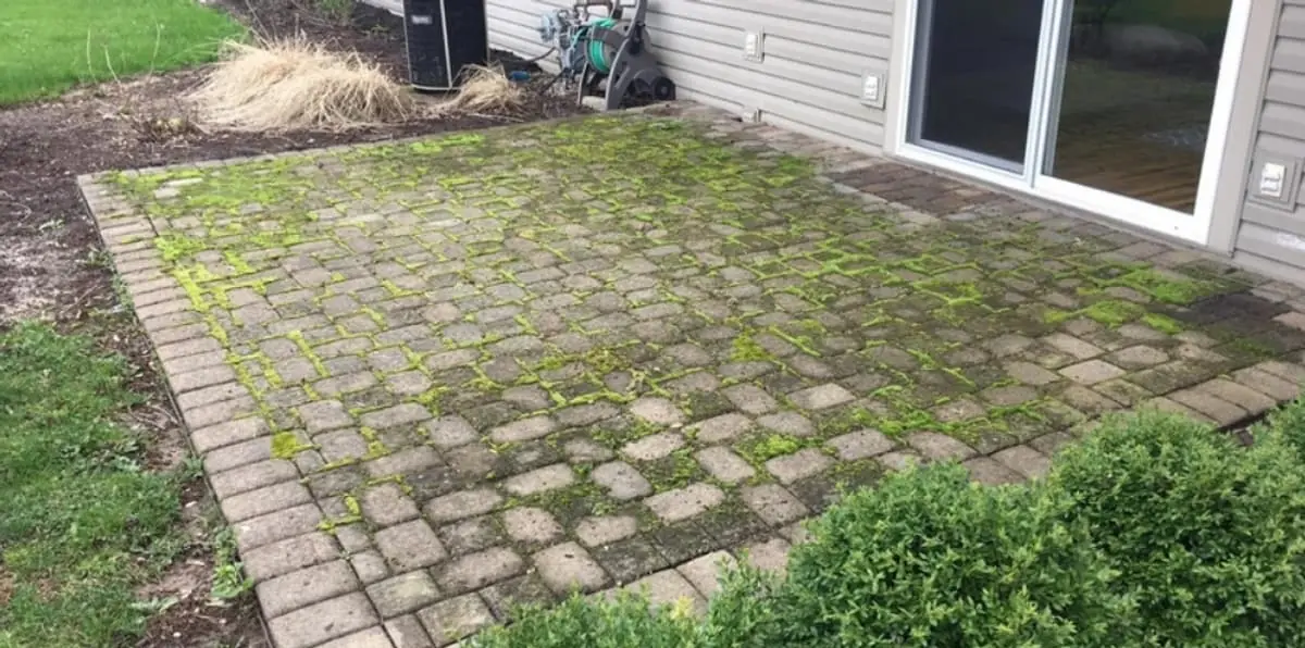 Before: Paver patio restoration